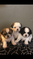 Click to view classifieds CCZYNSRB