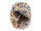 Click to view classifieds RUJZDBOL