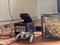 Click to view classifieds ZVLDPKFZ