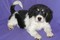 Click to view classifieds MYKENLLV