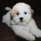 Click to view classifieds RGRQNBGT