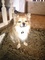 Click to view classifieds UYLTFHTW