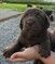 Click to view classifieds ZWFXTMCN