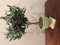 Click to view classifieds DGNXQQJR