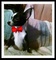 Click to view classifieds LDKDLHDE