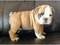 Click to view classifieds QGUNXJXT