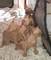 Click to view classifieds GQKYNRSQ