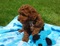 Click to view classifieds XJUFNCAC
