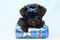 Click to view classifieds MKCEVHNA