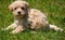 Click to view classifieds QYLJSWVZ