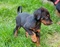 Click to view classifieds KYPHHJXP