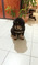 Click to view classifieds SSSDEMTT