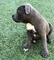 Click to view classifieds BKGPAESO