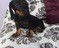 Click to view classifieds FDQAJTLU