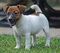 Click to view classifieds PKBNPXOL