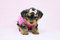 Click to view classifieds GORCJVJQ