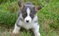 Click to view classifieds LKWKFZEG