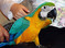 Click to view classifieds CBTRRAJZ