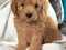 Click to view classifieds WLFKOTBH