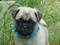 Click to view classifieds ZNVFMPMU