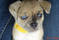 Click to view classifieds PZPKHDZB