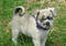 Click to view classifieds PRHWDLTH