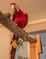 Click to view classifieds OZVYLHBP