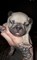 Click to view classifieds YLOHVTJQ