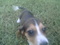Click to view classifieds AEGDCTKB