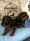 Click to view classifieds VADLGBBB