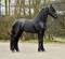 Click to view classifieds WTZFVCLE