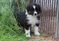 Click to view classifieds SASMRBHU