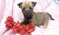 Click to view classifieds JLKEGOFT