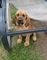 Click to view classifieds YAVMMBJW