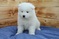 Click to view classifieds XJYPWQSP