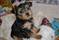 Click to view classifieds TVQWLFMW