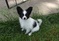 Click to view classifieds CVWAZQVD
