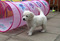 Click to view classifieds KBGHGYUZ