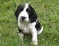 Click to view classifieds CPXLBPAM