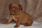 Click to view classifieds LGDEAOTX