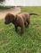 Click to view classifieds BGCLSCKB