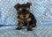 Click to view classifieds XPLWAVBY