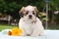 Click to view classifieds HMKTJKLJ