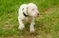 Click to view classifieds YMQHESAQ