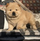 Click to view classifieds HKGGEWCO