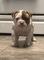 Click to view classifieds CRSXEHVW