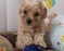 Click to view classifieds OHMXLFWR
