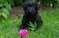 Click to view classifieds GMVGQYYF