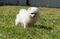 Click to view classifieds SVZVUOMX