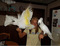 Click to view classifieds SXJCZFBO